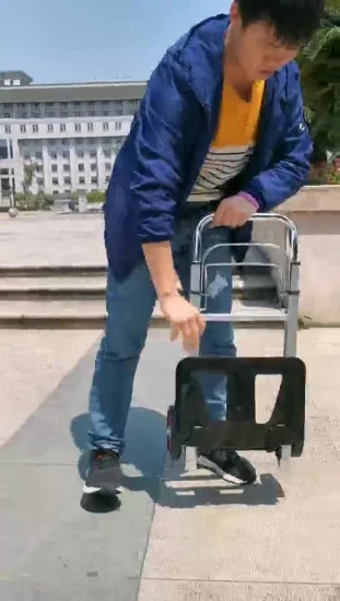 Carrello della spesa, carrello pieghevole